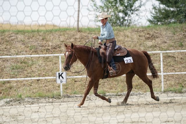 s_K3F06789.JPG